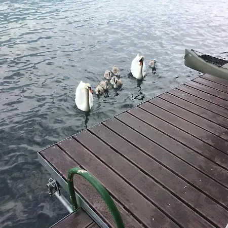 アパート Charming House With Private Dock On Iii アルジェーニョ